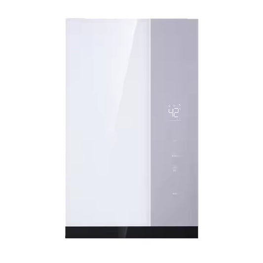 OEM Wholesale LPG Water Gas Heater Instant Tankless Calorifier Custom Forced Exhaust Gas Water Heater Natural Gas Water Heaters