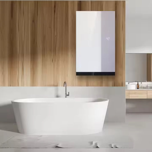 OEM Wholesale LPG Water Gas Heater Instant Tankless Calorifier Custom Forced Exhaust Gas Water Heater Natural Gas Water Heaters